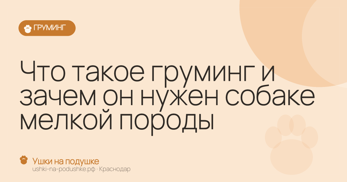 Что такое груминг и зачем он нужен собаке мелкой породы