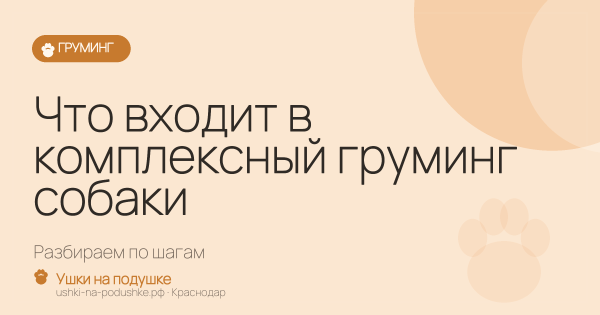 Что входит в комплексный груминг собаки: разбираем по шагам