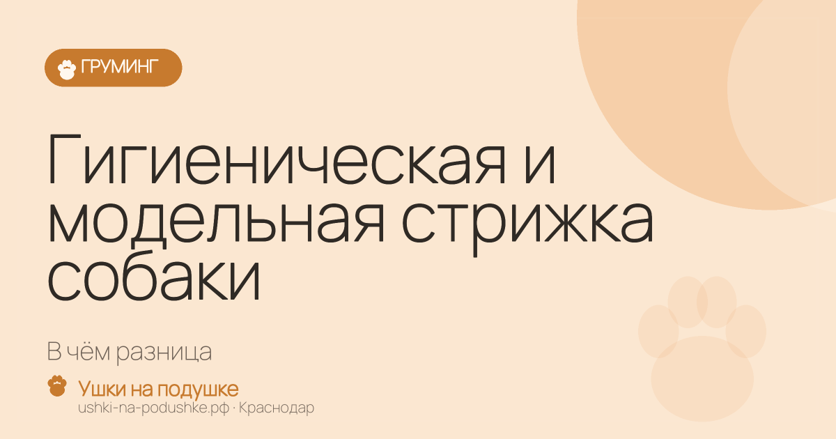 Гигиеническая и модельная стрижка собаки: в чём разница