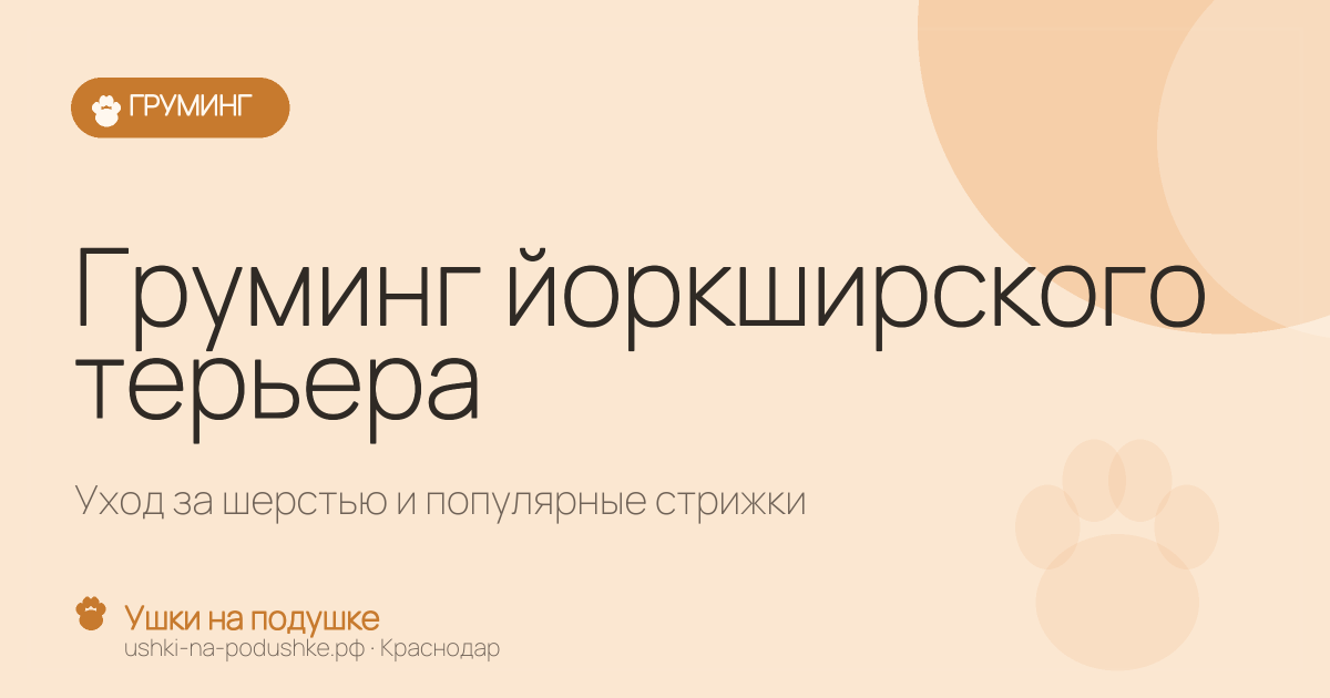 Груминг йоркширского терьера: уход за шерстью и популярные стрижки