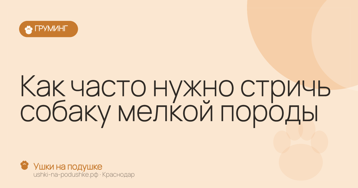 Как часто нужно стричь собаку мелкой породы