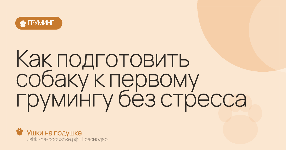 Как подготовить собаку к первому грумингу без стресса